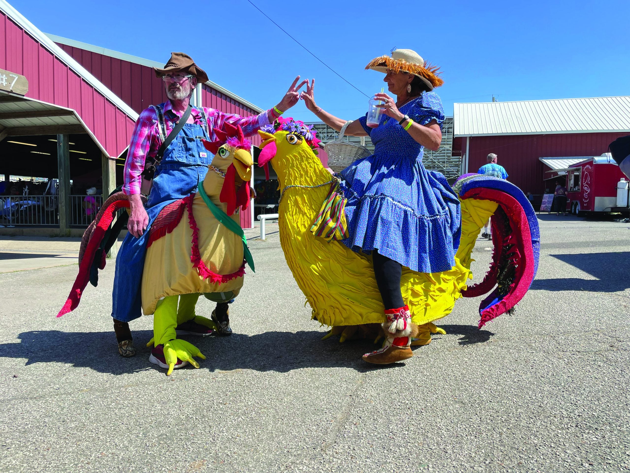 Walnut Valley 
Festival Chickens