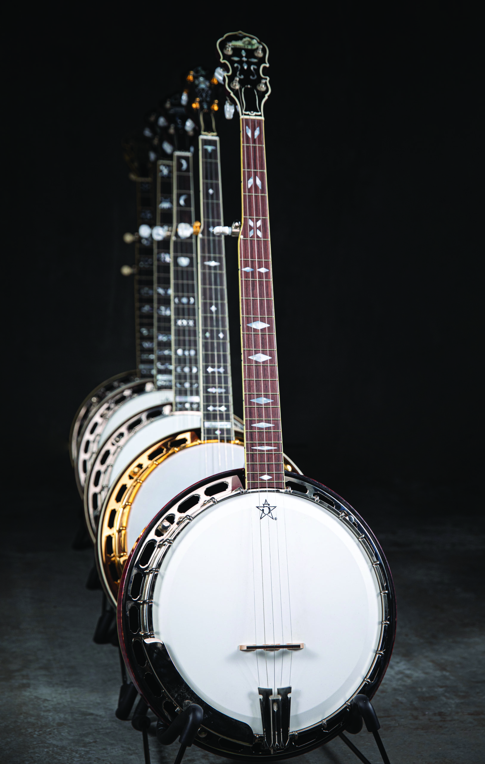 Five bajos lined up from back to front in a lighting studio