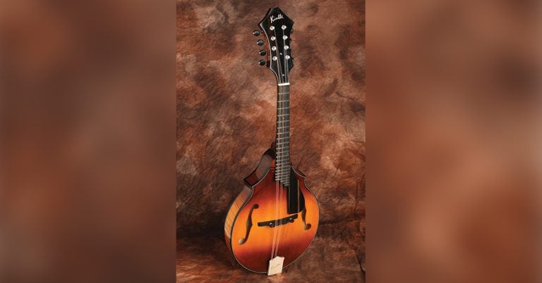Photo of a J model mandolin on a stand in a photo studio