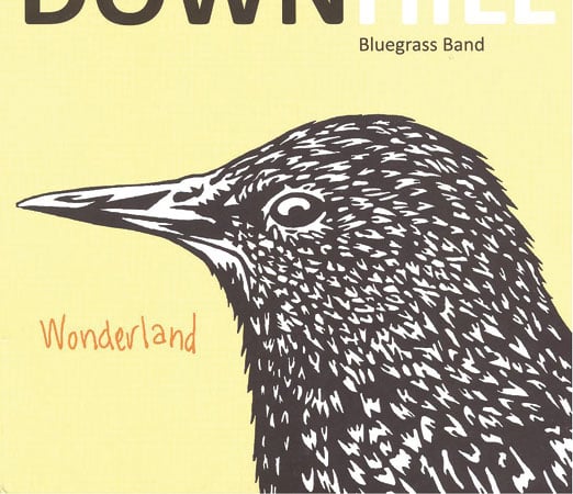 RR-down-hill-bluegrass-band