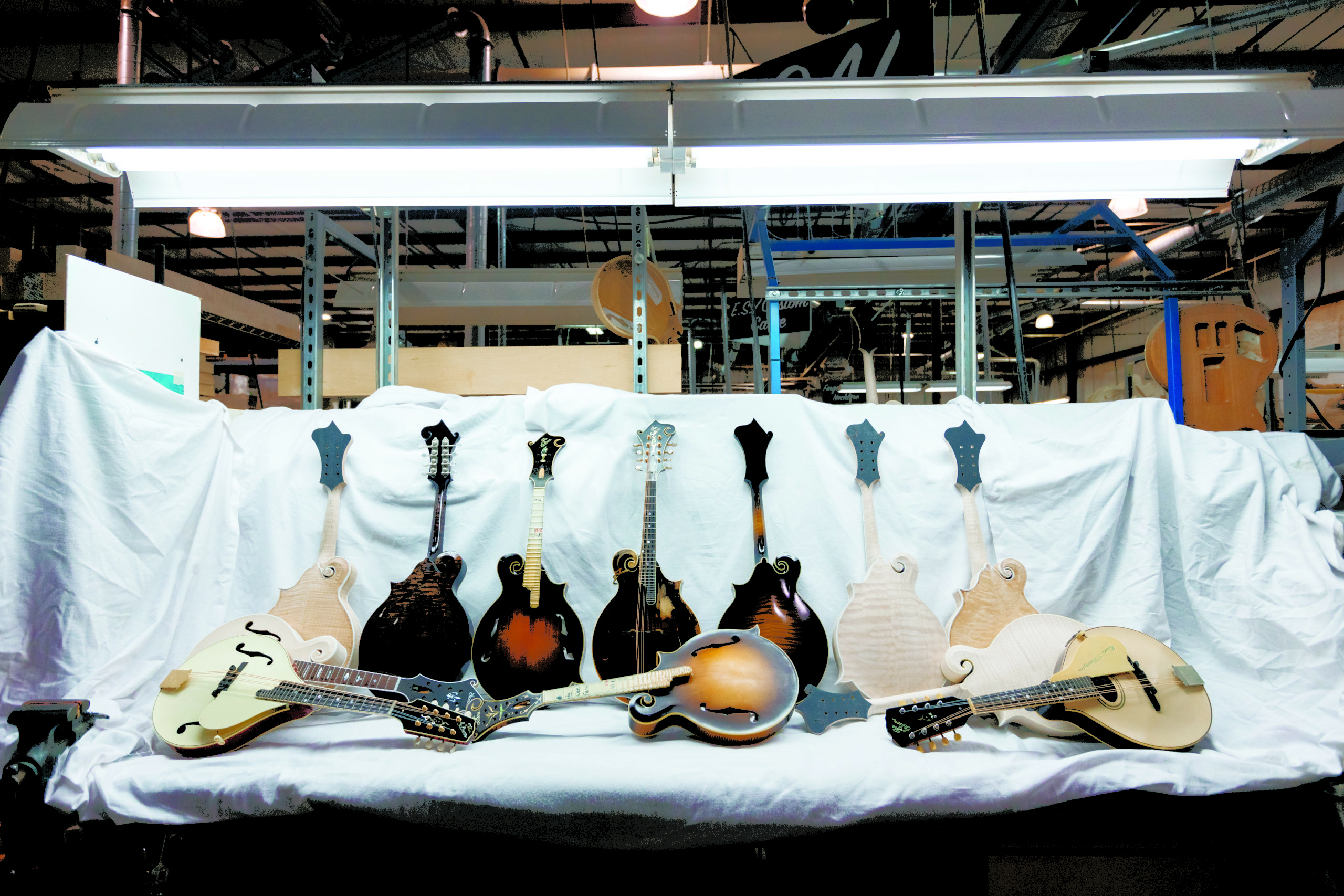 Mandolin's of various shapes, sizes, and colors sit on display.